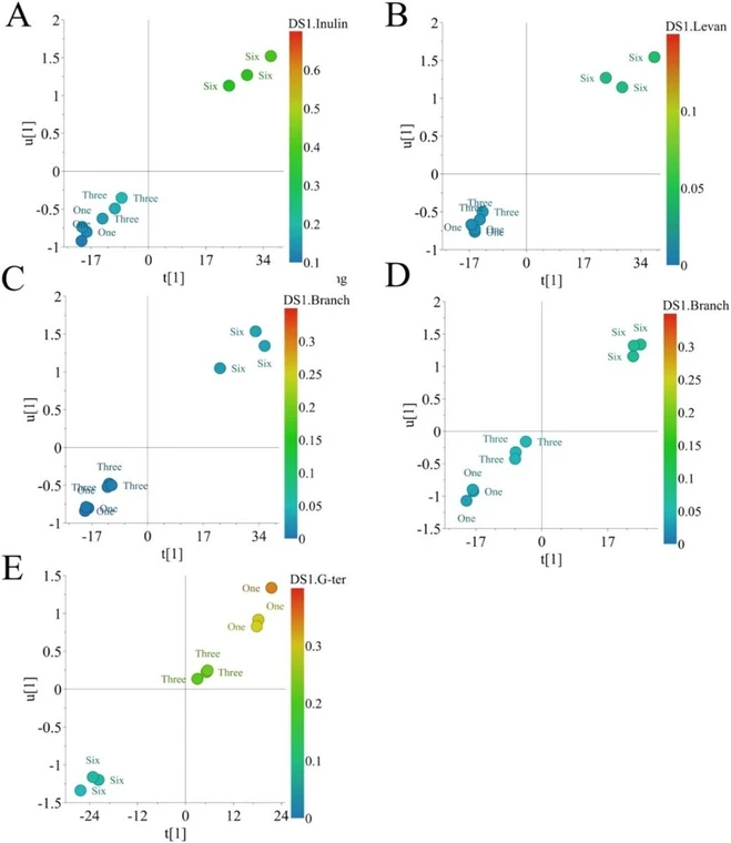 10.1021/acs.analchem.5c01074: Figure 2. Correlation analysis between FT-MIR and GC-MS data through OPLS analysis. (A) OPLS analysis for the correlation between inulin moieties and FT-MIR data from aFOS of Agave potatorum. (B) OPLS analysis for the correlation between levan moieties and FT-MIR data from the aFOS of A. potatorum. (C) OPLS analysis for the correlation between the branching degree and FT-MIR data from aFOS of A. potatorum. (D) OPLS analysis for the correlation between branching degree and FT-MIR data from aFOS of Agave angustifolia. (E) OPLS analysis for the correlation between terminal glucose and FT-MIR data from aFOS of A. angustifolia.