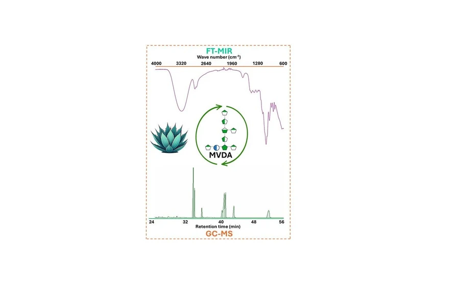 <p>10.1021/acs.analchem.5c01074: Graphical abstract</p>