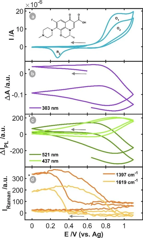 ACS Electrochem. 2025, 1, 6, 997–1002: Figure 3. SEC experiment of 5·10–4 M OFL in BR pH = 4.25 between the vertex potentials +0.00 V and +1.10 V, starting at +0.60 V in the cathodic direction at 0.02 V·s–1. (a) CV and (b) CVA at 303 nm, (c) CVF at 521 and 437 nm and (c) CVR at 1397 and 1619 cm–1.