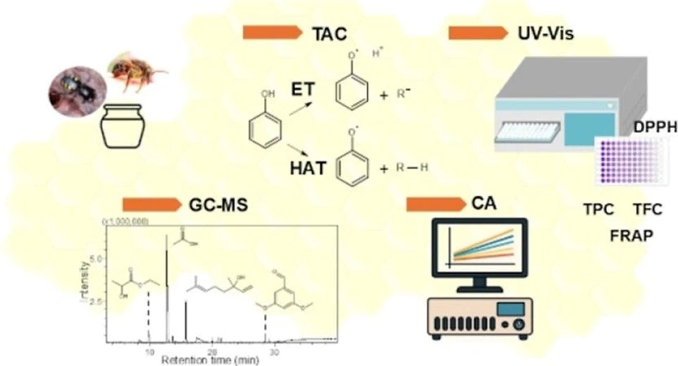 <p>ACS Omega 2025, 10, 20, 20550–20561: Graphical abstract</p>