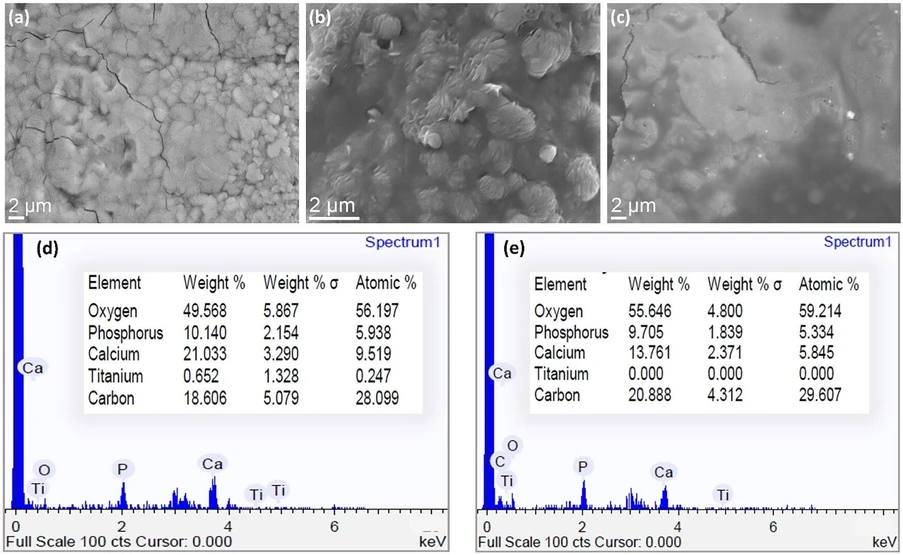 ACS Omega 2025, 10, 34, 39081–39086: Figure 2. SEM micrographs of Monetite/Dextran composite coatings with increasing Dextran content: (a) Mo#D1%, (b) Mo#D2%, and (c) Mo#D4%. EDS spectra and elemental compositions are shown for (d) Mo#D1% and (e) Mo#D4%, based on mapping analysis.