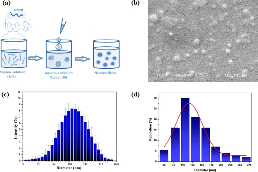 ACS Omega 2025, 10, 35, 40111–40118: Figure 1. (a) Schematic representation of the nanoprecipitation process; (b) scanning electron microscopy (SEM) image of PCPDTBT nanoparticles; (c) hydrodynamic diameter distribution of PCPDTBT NPs; (d) particle diameter distribution determined from SEM image analysis.