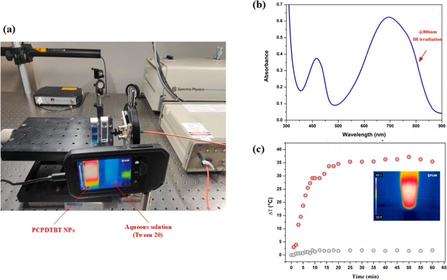 ACS Omega 2025, 10, 35, 40111–40118: Figure 2. (a) Experimental setup for photothermal analysis; (b) absorption spectrum of PCPDTBT NPs (17.0 mg L–1). The arrow indicates the absorbance peak at 806 nm; (c) temperature as a function of time upon near-infrared irradiation (806 nm) for PCPDTBT nanoparticles (17.0 mg L–1) dispersed in aqueous solution and aqueous solution with Tween 20.