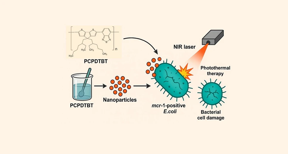 <p>ACS Omega 2025, 10, 35, 40111–40118: Graphical abstract</p>