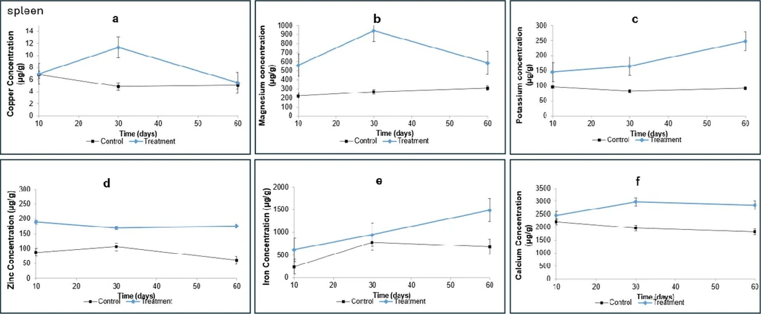 ACS Omega 2025, 10, 46, 56085–56095: Figure 5. Mean concentrations of Cu, Mg, K, Zn, Fe, and Ca in spleen determined by ICP–MS. Values are presented as mean ± standard deviation (μg/g). (a) Copper; (b) magnesium; (c) potassium; (d) zinc; (e) iron; and (f) calcium. The control group is represented in black, and the treatment group in blue. Statistical significance was determined by one-way ANOVA (p <0.05).