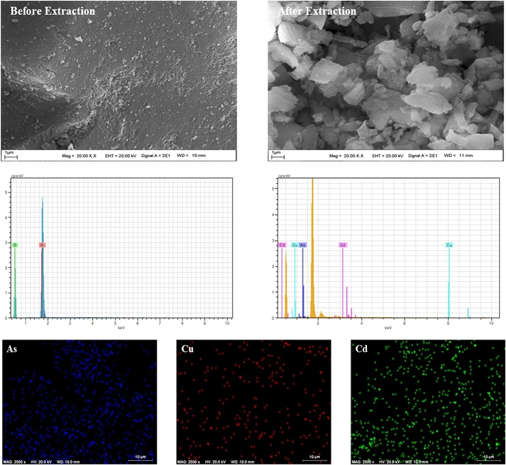 ACS Omega 2026, 11, 1, 1213–1235: Figure 4. SEM images and EDX spectra of the sorbent before and after metal sorption.