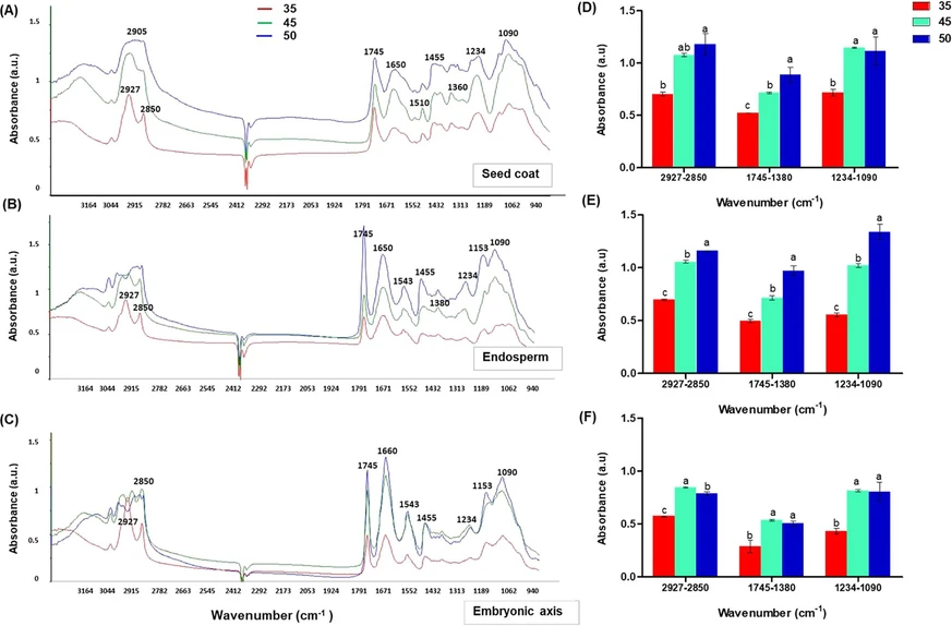 ACS Omega 2026, 11, 1, 562–571: Figure 3. FTIR analysis of chili seed tissues harvested at different developmental stages. (A–C) Mean absorption spectra of the seed coat (A), endosperm (B), and embryonic axis (C) obtained from seeds at 35, 45, and 50 days after flowering (DAF). Major absorption peaks are indicated: 2927–2850 cm–1 (C–H stretching of lipids), 1745–1660 cm–1 (amide I of proteins), 1543–1380 cm–1 (amide II of proteins), and 1234–1090 cm–1 (C–O stretching of carbohydrates/polysaccharides). (D–F) Quantitative comparisons of relative absorbance intensities at these peaks for the seed coat (D), endosperm (E), and embryonic axis (F). Bars represent the mean ± standard deviation (SD). Different letters (a–c) above bars indicate statistically significant differences among fruit developmental stages according to Tukey’s HSD test (P < 0.05).