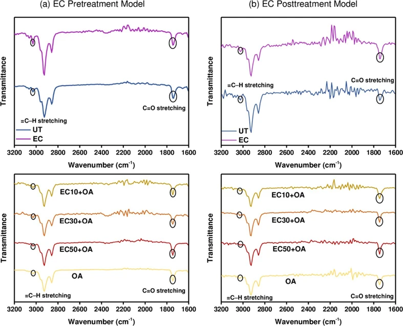 ACS Omega 2026, 11, 23, 33333–33344: Figure 5. ATR-FTIR spectra of control groups: UT (blue) and EC (control) (purple); along with experimental groups: OA (yellow), EC50+OA (red), EC30+OA (orange), and EC10+OA (brown) in the wavenumber range 3200–1600 cm–1 for the (a) EC Pretreatment Model and (b) EC Posttreatment Model.