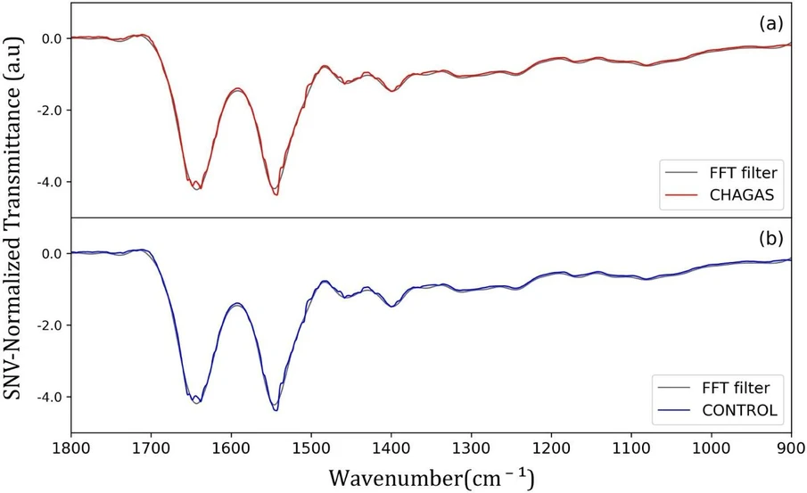 ACS Omega 2026, 11, 23, 34318–34326: Figure 2. Average SNV-ATR-FTIR spectra of human blood serum samples: (a) Chagas disease-infected individuals (CHAGAS) and (b) control subjects. The colored mean spectra (CHAGAS in red and control in blue) correspond to spectra preprocessed by Savitzky–Golay smoothing and fast Fourier transform (FFT) filtering, followed by modified SNV normalization, and are overlaid on the normalized raw spectra for direct comparison.