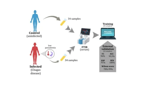 A Rapid, Antigen-Independent Diagnostic Strategy for Chronic Chagas Disease Based on Serum ATR-FTIR Spectroscopy and Machine Learning