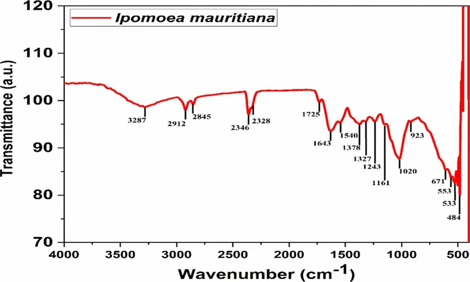 ACS Omega 2026, 11, 3, 4021–4036: Figure 2. FTIR spectrum of I. mauritiana Jacq. extract.