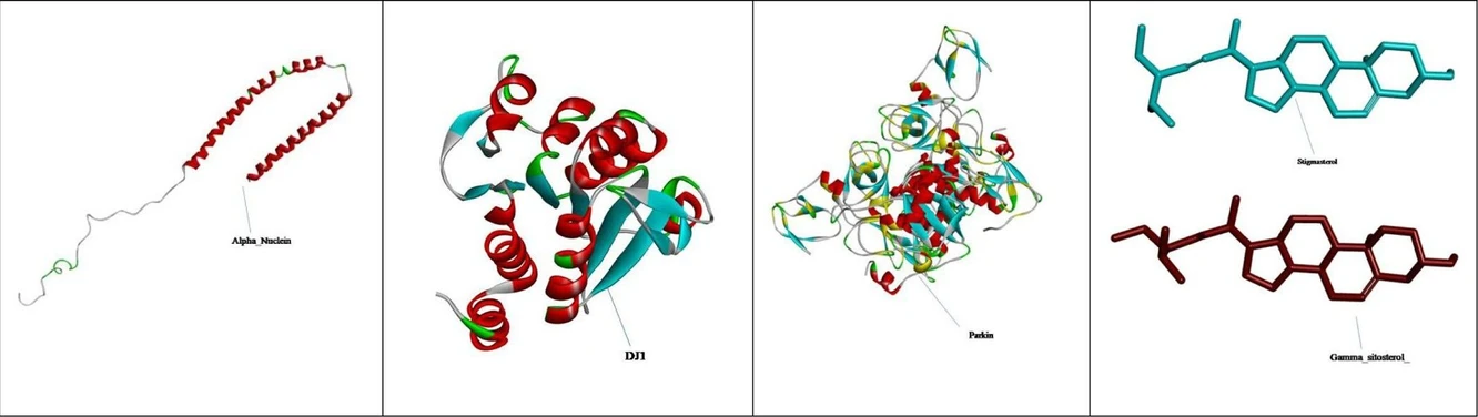ACS Omega 2026, 11, 3, 4021–4036: Figure 9. Structures of Alpha syn nuclein, DJ1, Parkin protein, and molecules of stigmasterol and gamma sitosterol for in-silico docking.