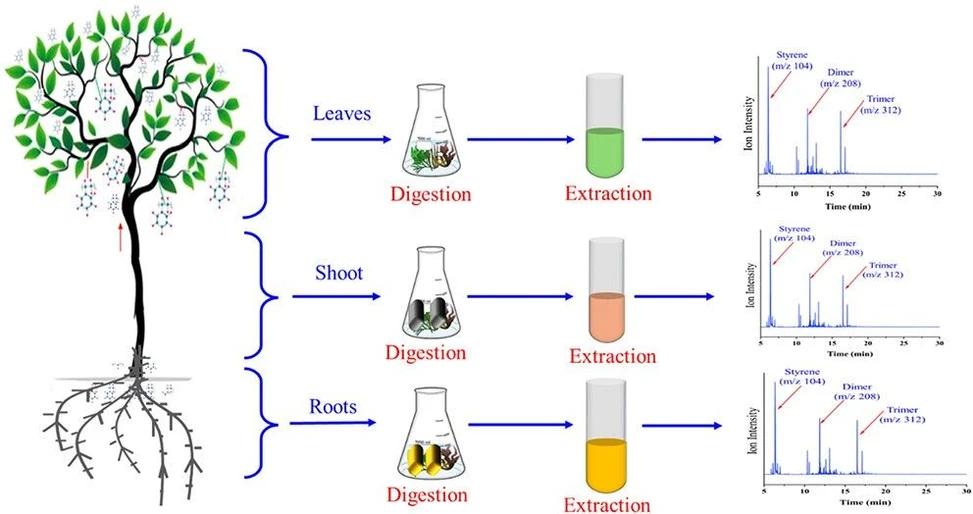 <p>ACS Omega 2026, 11, 8, 13137–13148: Graphical abstract</p>
