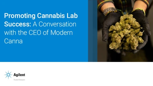 Promoting Cannabis Lab Success: A Conversation with the CEO of Modern Canna