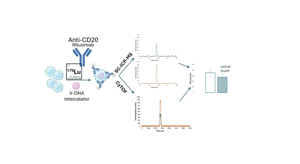 <p>Anal. Chem. 2025, 97, 46, 25510–25518: Graphical abstract</p>