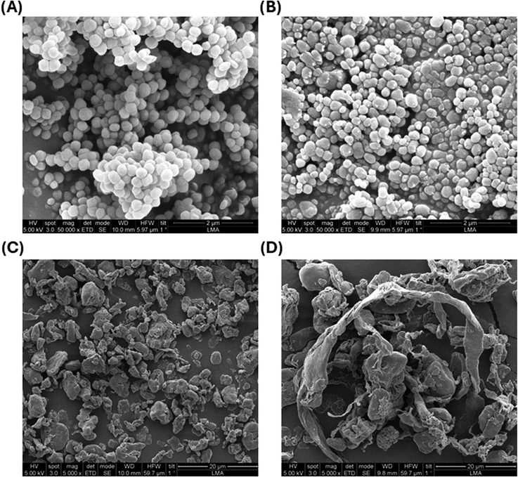 Anal. Chem. (2026) 98 (31): 22977–22987: Figure 5. Representative SEM images of the 0.2 (A), 1 (B), 3 (C), and 8 (D) μm PTFE particles analyzed in this work