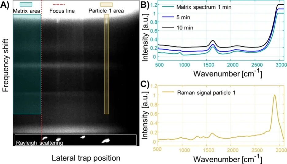 Anal. Chem. 2026, 98, 5, 3614–3620: Figure 4. (A) Cutout of the Raman channel. The horizontal axis shows the lateral position of particles in the optical trap, and the four intense dots (bottom) correspond to the Rayleigh scattering of four trapped MPs. Along the vertical axis, the frequency shift due to inelastic scattering is shown, which was calibrated into a Raman spectrum. (B) Raman spectrum of the matrix sampled behind the focus line at three different time points after the matrix exchange process. The band at 950 cm–1 was caused by the matrix and was used as an indicator when the matrix exchange process was complete. The other bands corresponded to the Raman signal of water. (C) Raman spectrum of a single particle, which was corrected for the signal contribution of the water matrix. The three bands between 1100 and 1650 cm–1 are typical for PA-6 MPs.