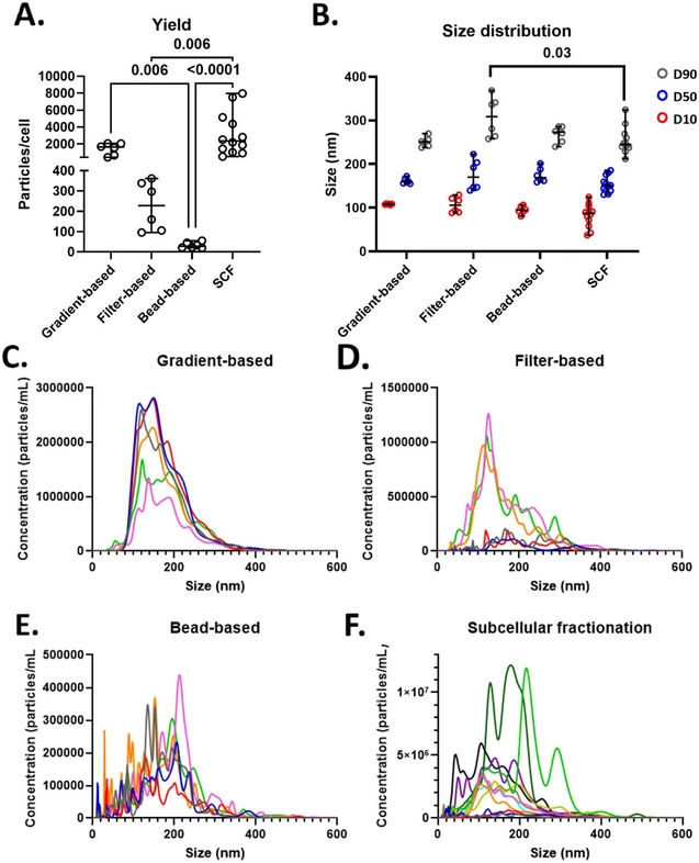 Anal. Chem. 2026, 98, 6, 4585–4600: Figure 1. Quantification and size analyses of isolated vesicles. A) Quantification of isolated vesicles per cell, shown as median with range. Circles represent technical replicates. B) Size distribution of isolated vesicles (in nm), displaying average D10 (red), D50 (blue), and D90 (gray), depicted as median with range. Circles represent technical replicates. C–F) Particle distribution plots showing mean concentration at specific sizes; each line represents a technical replicate. For each method, six technical replicates are shown, except for SCF, which includes 12 replicates. SCF, subcellular fractionation. Statistical significance: p < 0.05 and FDR 5%. For statistical analysis, the nonparametric Kruskal–Wallis test was used and corrected for multiple comparisons using the method of Benjamini and Hochberg.