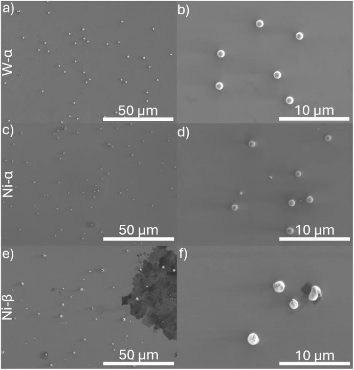 Anal. Chem. (2026): Figure 3. SEM images of particles on Si wafers. Rows correspond to sample (W, Ni-α, and Ni-β), while columns correspond to magnification (1,000× and 5,000×). Complementary postanalysis images of Ni-α are available in Figure S5. (a) is W at 1,000×, (b) is W at 5,000×, (c) is Ni-α at 1,000×, (d) is Ni-α at 5,000×, (e) is Ni-β at 1,000×, and (f) is Ni-β at 5,000×.