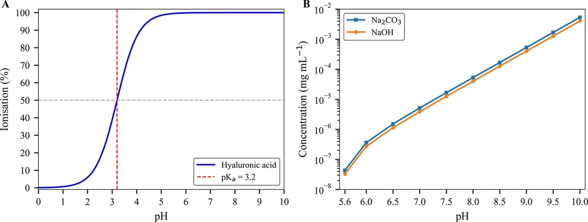 Biomacromolecules 2025, 26, 11, 7767–7777: Figure 1. Ionization behavior, buffer capacity, and TGA methodological framework. (A) Theoretical ionization profile of the carboxyl functional group in HA as a function of pH, modeled using the Henderson–Hasselbalch equation with a pKa of 3.2. This curve illustrates the extent of ionization (% deprotonation) across physiologically relevant pH values. (B) Log-scale plot of the NaOH concentration required to raise the pH from an initial value of 5.6 (typical of DI water) to progressively higher values. For comparison, the theoretical concentration of Na2CO3 is also plotted, assuming complete conversion of all Na+ to Na2CO3.