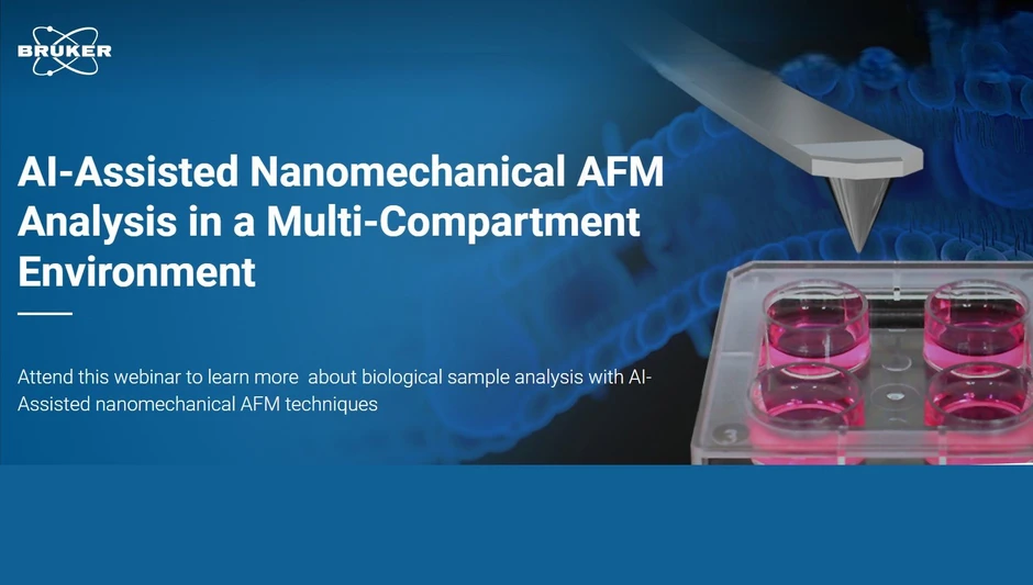 Bruker: AI-Assisted Nanomechanical AFM Analysis in a Multi-Compartment Environment
