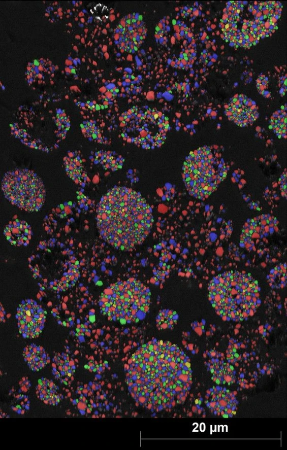Bruker: Figure 2: Grain Size Distribution map (random coloring) of NMC cathode material used in Lithium-ion battery. In this measurement, 8500 grains were measured with eWARP in only 9 minutes (:measurement speed of 10 000 fps). The average grain size is less than 500 nm. The measurement was done at low accelerating voltage (10 kV) and probe current (13 nA) to reach the required fine step size of 20 nm