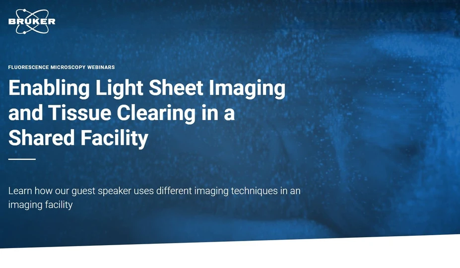 Bruker: Fluorescence Microscopy Webinars Enabling Light Sheet Imaging and Tissue Clearing in a Shared Facility