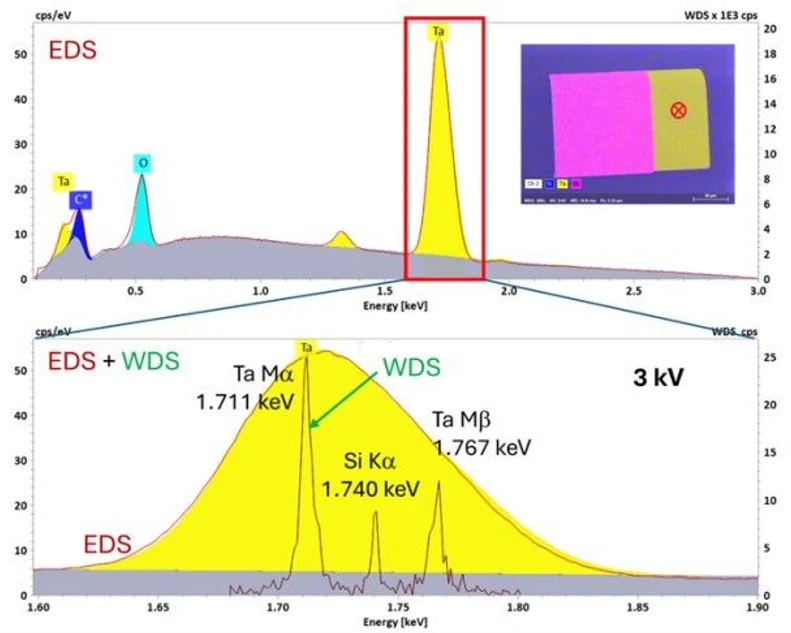 Bruker: Point spectra and map (insert top right) of a semiconductor microsensor sample. EDS only detects Tantalum (and surface-adhering elements C and O). But QUANTAX WDS sees more: it also detects Si, derived from the substrate below the ~30 nm thick Ta layer.