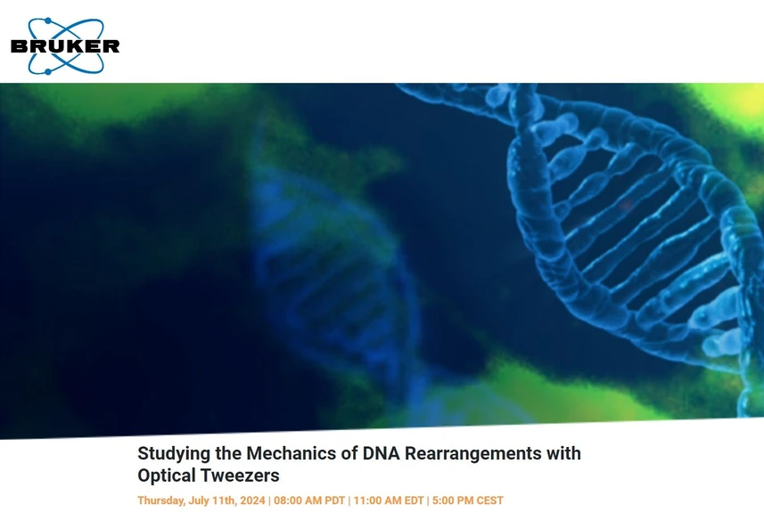 Bruker: Studying the Mechanics of DNA Rearrangements with Optical Tweezers
