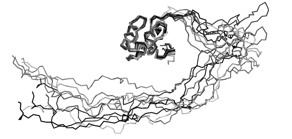 When Proteins Behave Like Spaghetti on a Plate: Protein motion illustrated by overlapping frames.
