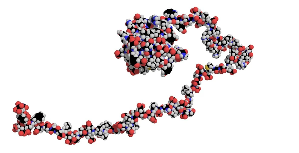When Proteins Behave Like Spaghetti on a Plate: Atomic composition of an intrinsically disordered protein.