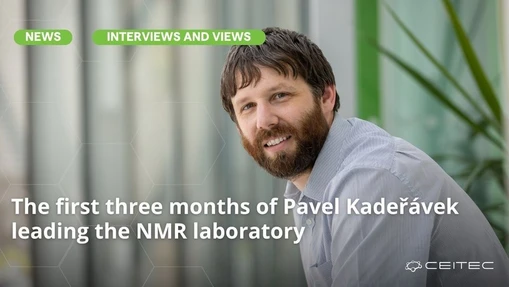 The first three months of Pavel Kadeřávek leading the NMR laboratory