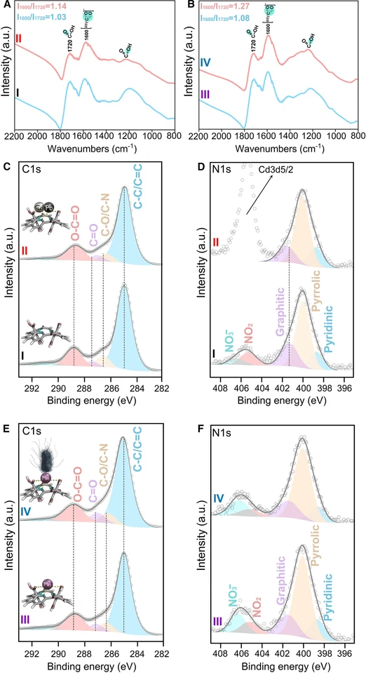 CHEMJOURNAL-D-25-00469: Figure 2. FTIR and XPS characterization (A) FTIR spectra of fresh NGCOOH (I) and of NGCOOH after heavy metals filtration (II). (B) FTIR spectra of fresh Mn-NGCOOH (III) and of Mn-NGCOOH after bacteria filtration (IV). (C and D) Deconvoluted HR-XPS of the C 1s region (C) and of the N 1s region (D) for pristine NGCOOH (I) and for NGCOOH after heavy metals filtration (II). (E and F) Deconvoluted HR-XPS of the C 1s region (E) and of the N 1s region (F) for Mn-NGCOOH (III) and for Mn-NGCOOH after bacteria filtration (IV). The deconvolution details can be found in Tables S1–S6 and the supplemental information.