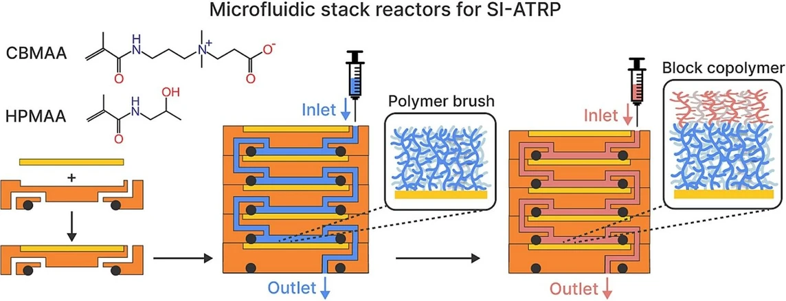 <p>Institute of Physics of the Czech Academy of Sciences: Customized microreactors: 3D printing has facilitated the development of polymer brushes for biosensors</p>