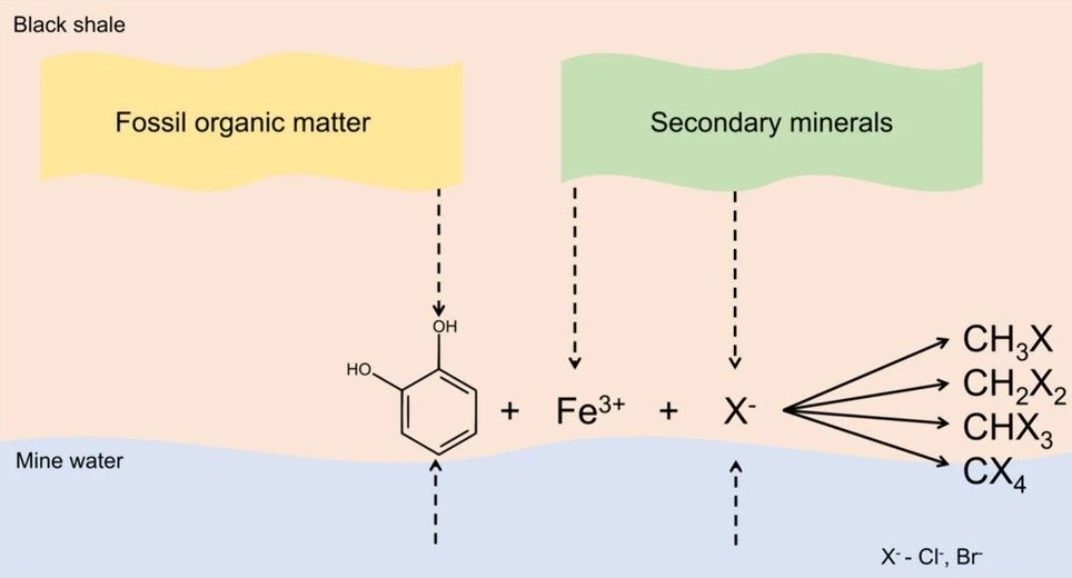 <p><strong>Environ. Sci. Technol. Lett. 2025:</strong> Graphical abstract</p>