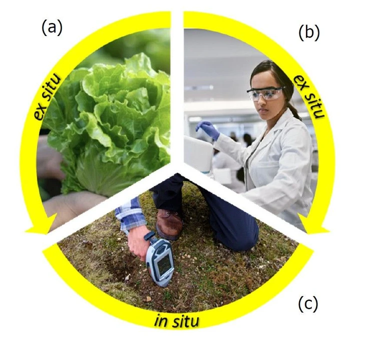 Eurachem: Figure 1. Representation of the whole measurement process that requires validation. In the ex situ mode this includes the two steps of (a) primary sampling (in this case of a bay of lettuce heads) followed by (b) chemical analysis. In in situ mode this usually requires just one step (c) both sampling and analysis within the same measurement process (in this case in situ pXRF on an area of soil).