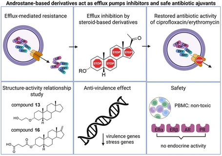 Steroidal hormones and neurosteroids – novel therapeutic strategies in bacterial infections
