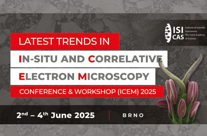 In-situ Correlative Electron Microscopy Conference & Workshop 2025