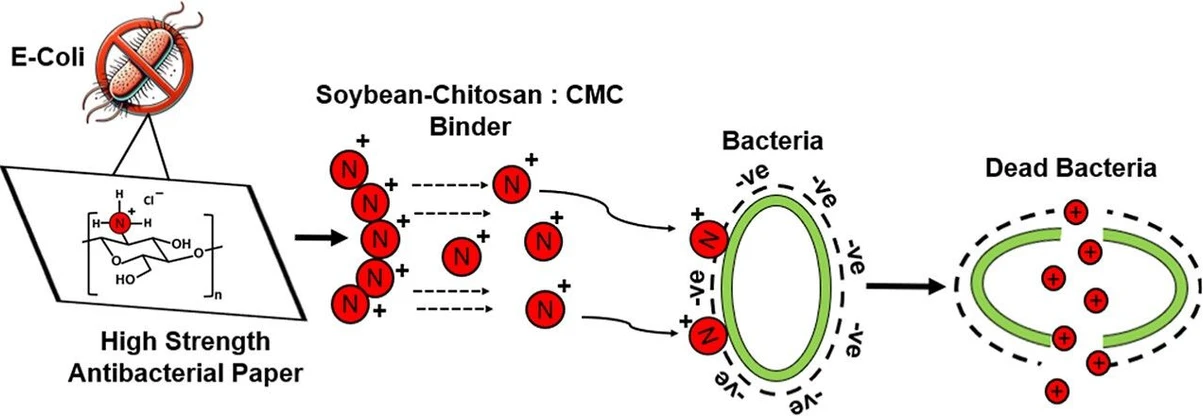 <p>Ind. Eng. Chem. Res. 2025, 64, 24, 12000–12013: Graphical abstract</p>