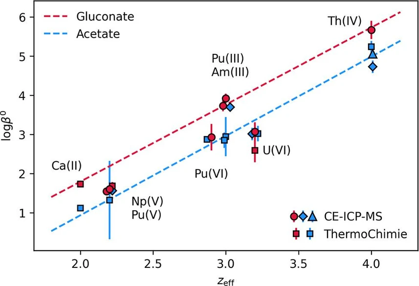 Inorg. Chem. 2026, 65, 7, 3806–3814: Figure 7. log β0 values of the 1:1 acetate and gluconate complexes plotted against the effective cationic charge. (28) For better readability, overlapping points were shifted by zeff = ±0.02. Values determined in this work are marked by circles, values determined using CE-ICP-MS by Willberger et al. (30) and Lohmann et al. (26) are marked by diamonds and triangles, respectively, and values taken from the ThermoChimie V13a database are marked by squares (references in Table S9, Supporting Information). Gluconate complexes are red and acetate complexes are blue.