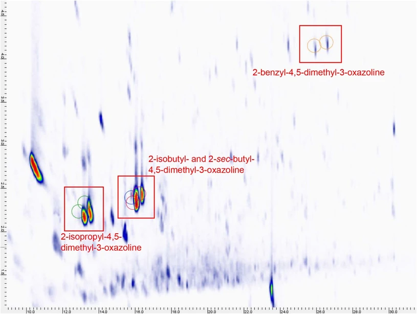 J. Agric. Food Chem. 2025, 73, 24, 15259–15269: Figure 5. 2D-GC–MS analysis of roasted cacao nibs, extracted by SAFE. The synthesized 4,5-dimethyl-3-oxazoline standards 1–4 were each run separately and used to create a template (indicated by the green, blue, red, and orange circles, respectively) to show the expected retention times of 4,5-dimethyl-3-oxazolines. This image was created by extracting ion 98 from the chromatogram of the SAFE extract and overlaying with the template. Compounds in cocoa, shown here as blobs, were found close to or within the template regions, and possessed the same mass spectrum as the synthesized standards, indicating the presence of these 4,5-dimethyl-3-oxazolines in cocoa for the first time.
