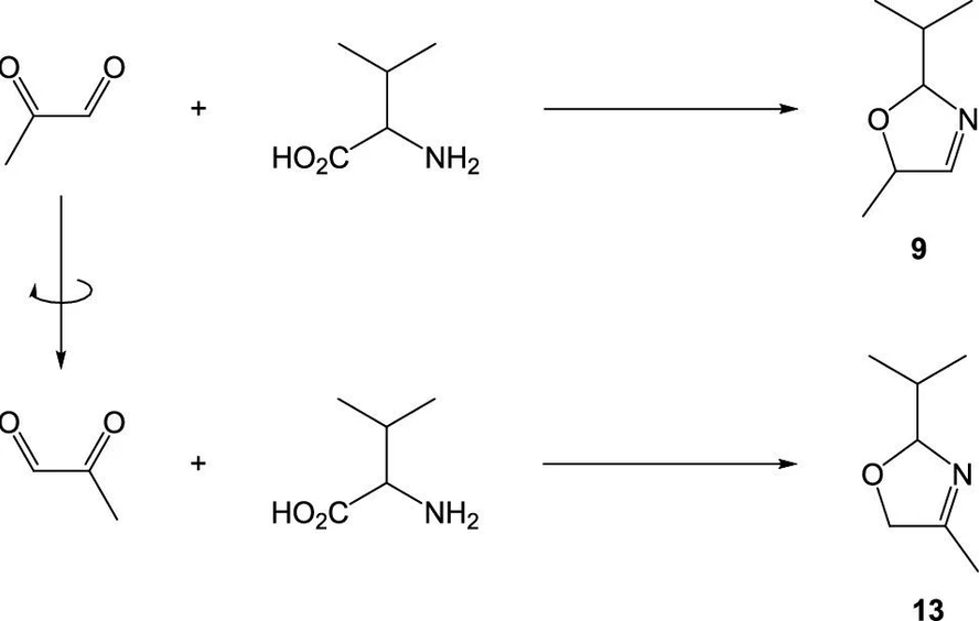 J. Agric. Food Chem. 2025, 73, 24, 15259–15269: Figure 6. Methylglyoxal is an asymmetrical α-dicarbonyl compound and was proposed to react with amino acids, such as valine, in two conformations to generate 3-oxazoline regioisomers, 2-isopropyl-5-methyl-3-oxazoline and 2-isopropyl-4-methyl-3-oxazoline, in the case of valine (9 and 13, respectively). In the same way, 2,3-pentanedione can also react to form the regioisomers, 5-ethyl-4-methyl- and 4-ethyl-5-methyl-3-oxazolines.