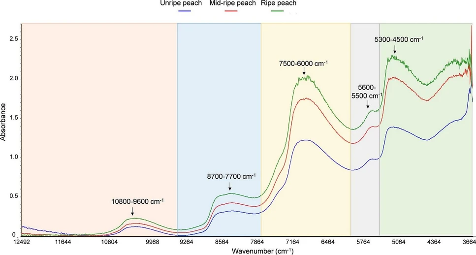 J. Agric. Food Chem. 2025, 73, 26, 16636–16647: Figure 1. Raw FT-NIR spectra of the average of all peach samples at different stages of ripening. The figure shows the FT-NIR spectra corresponding to the average of peach samples at different stages of ripeness: the blue spectrum represents unripe peaches, the red spectrum also represents unripe peaches but in a more advance ripeness process, and the green spectrum represents ripe peaches ready for consumption. Also, the most representative absorption bands of the peach observed in the spectra are indicated.