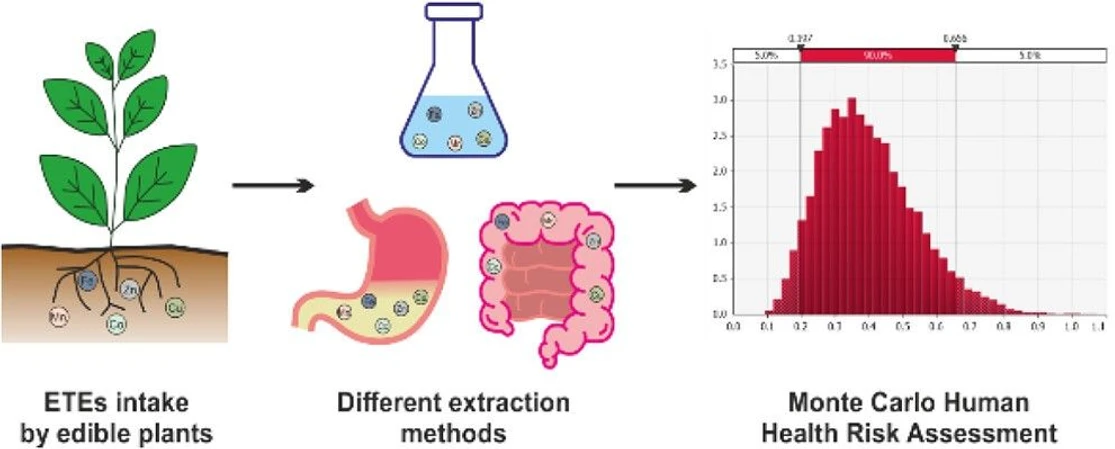 <p>J. Agric. Food Chem. 2026, 74, 8, 7084–7097: Graphical abstract</p>