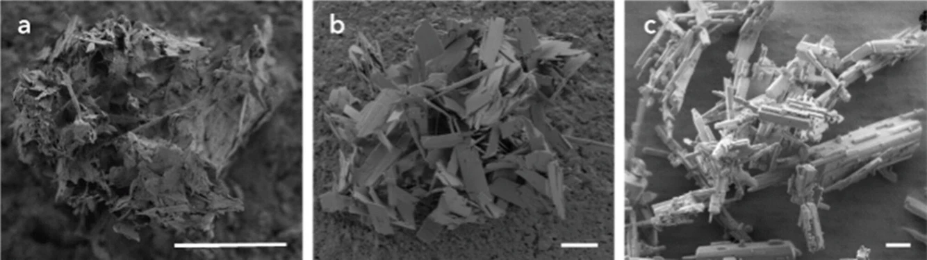 J. Am. Chem. Soc. 2026, 148, 6, 6686–6694: Figure 2. SEM images show the crystal morphology of (a) EMM-75P, (b) EM-L01, and (c) EM-L02 (scale bars 5 μm).