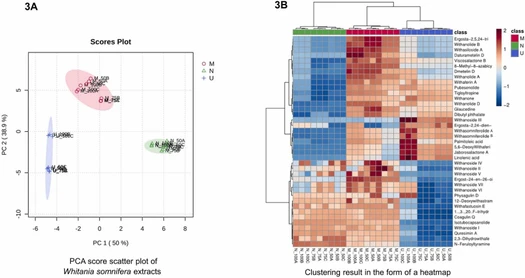 Metabolomics of Withania somnifera L. extracts by an integrated LC-MS and NMR approach and evaluation of their tyrosinase inhibitory activity