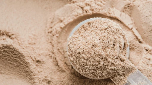  From Trash to Treasure: Testing Alternatives to Whey Protein Amidst Shortage
