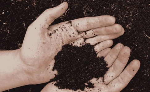 Gain Confidence in Your Total Organic Carbon (TOC) Data