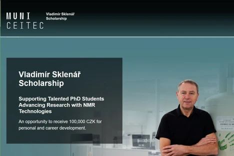 Vladimír Sklenář Scholarship