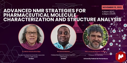 Advanced NMR Strategies for Pharmaceutical Molecule Characterization and Structure Analysis